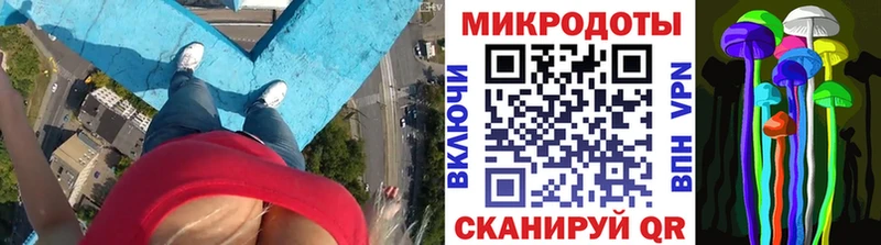 Псилоцибиновые грибы GOLDEN TEACHER  Купить закладки  Бикин 