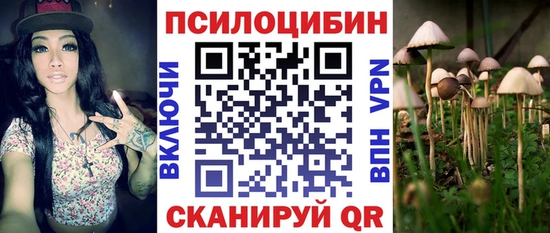 Галлюциногенные грибы Cubensis Бикин